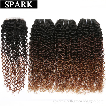 Spark 1b/4/30 Ombre Bundles with Closure 10A Brazilian Ombre Kinky Curly Human Hair 3 Bundles with Closure